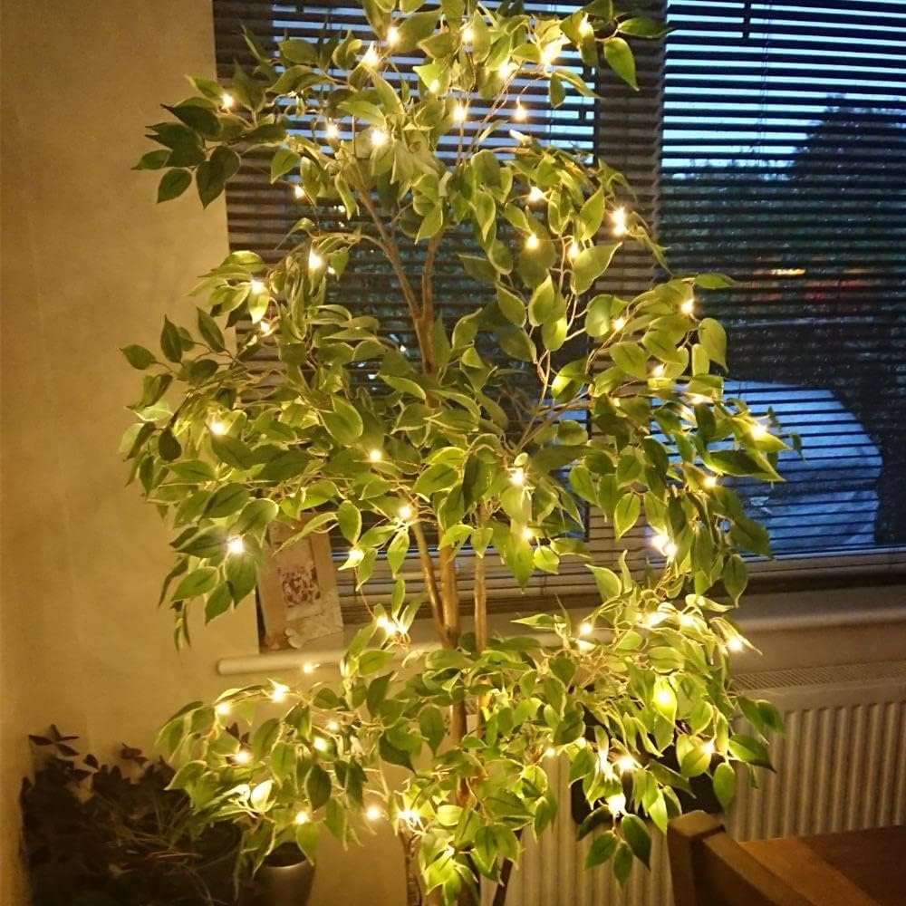 Thumbnail 3 de Lepro Fairy Lights 10m 100 LED copper string lights 🎄