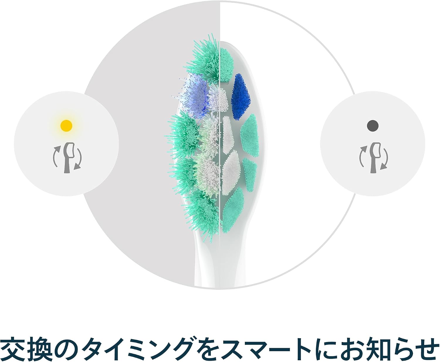 Thumbnail 5 de フィリップス HX9028/14 ソニッケアー C2 クリーンプラス替えブラシ レギュラー 8本入り