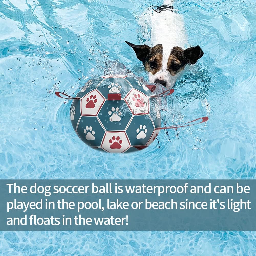 Detalle de HETOO Dog Soccer Ball — Interactive Tug, Fetch and Water Toy for Small & Medium Dogs