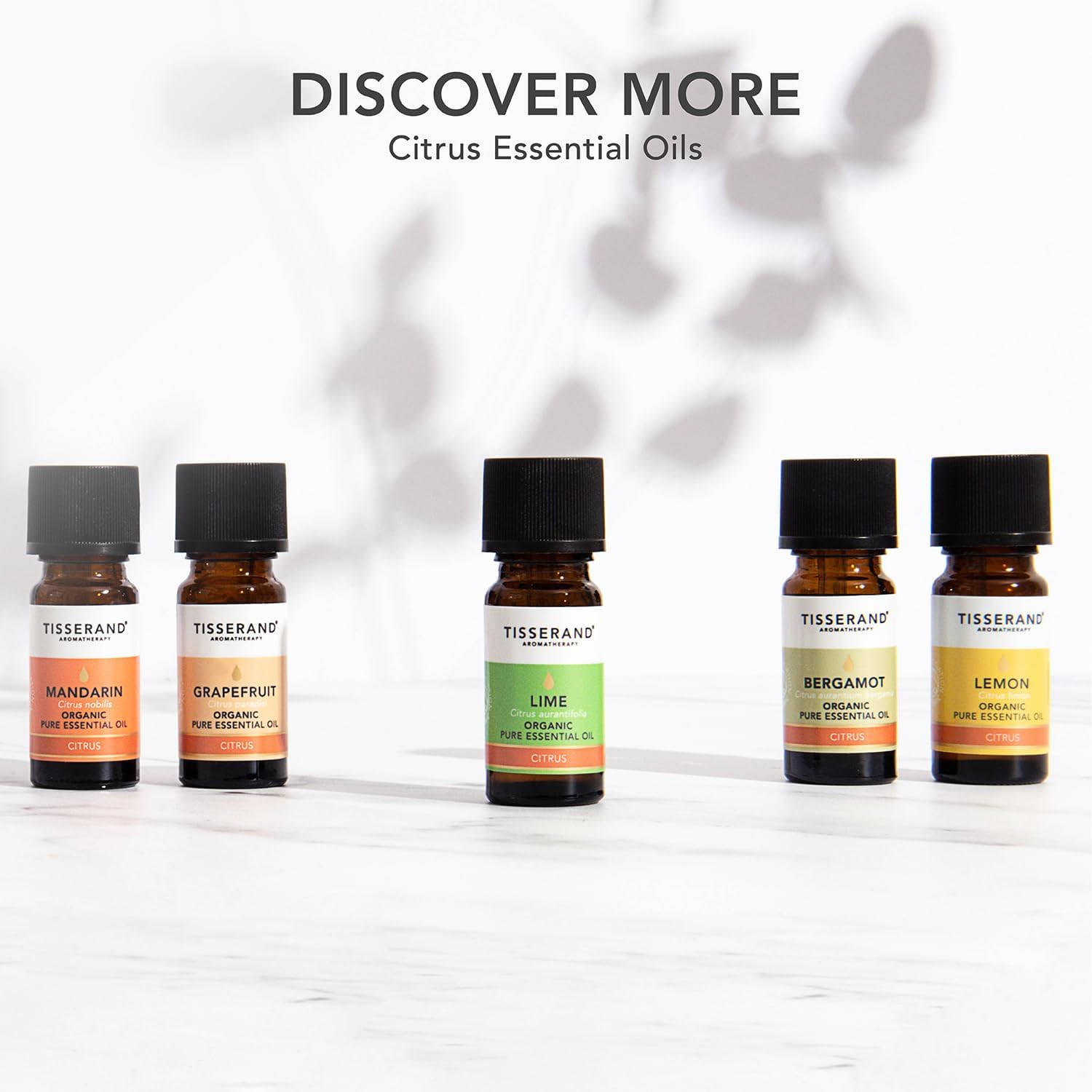 Thumbnail 6 de Tisserand Aromatherapy Organic Lime Essential Oil (9 ml) – Pure Citrus for Massage, Bath & Diffusion