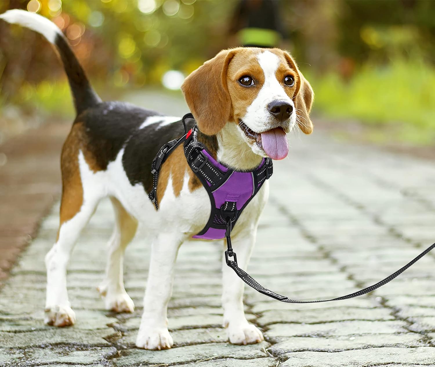 Thumbnail 1 de PoyPet No Pull Dog Harness with Neck Release Buckle for Medium Dogs Purple
