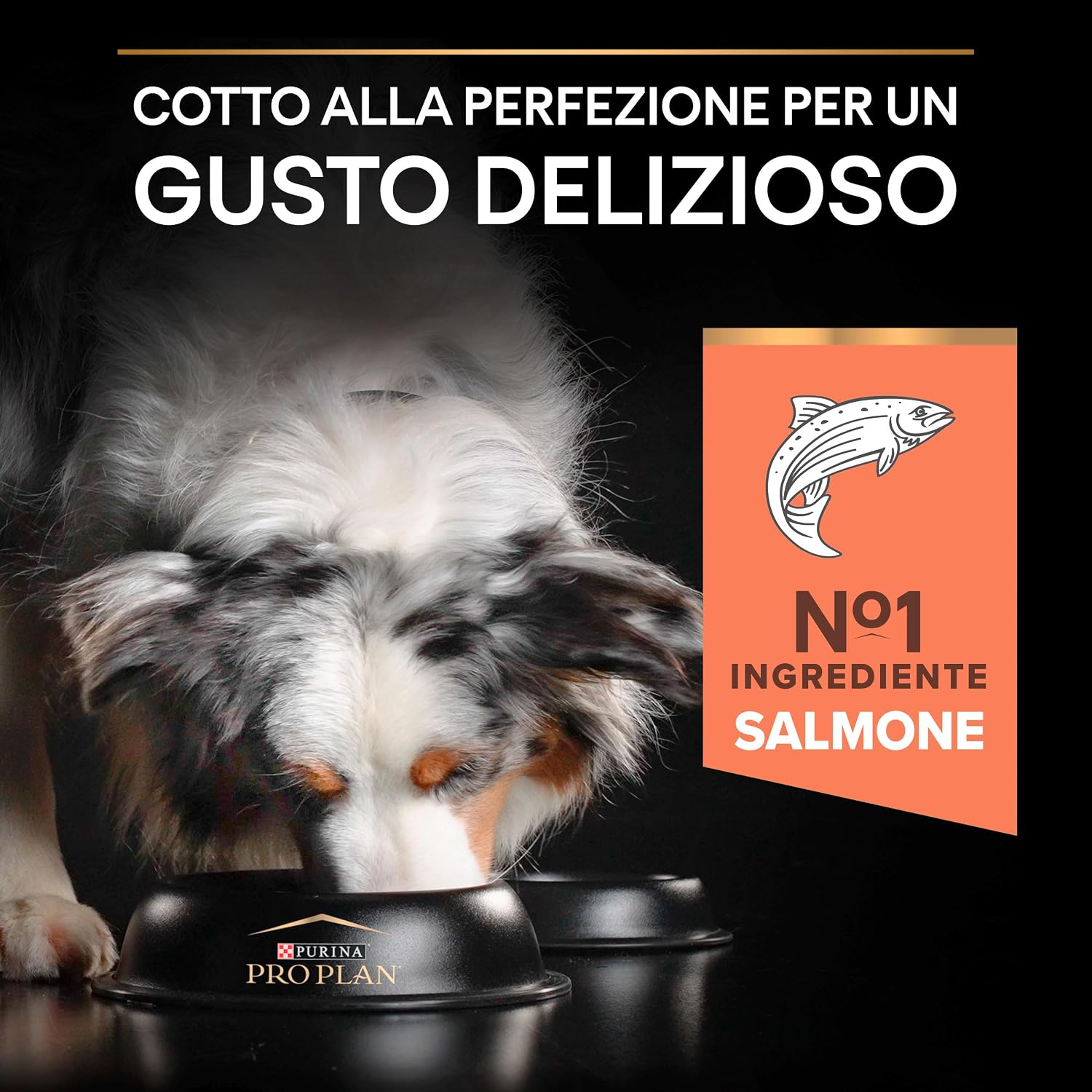 Detalle de Purina Pro Plan Optiderma Medium Adult Crocchette per Cane con Salmone 14kg