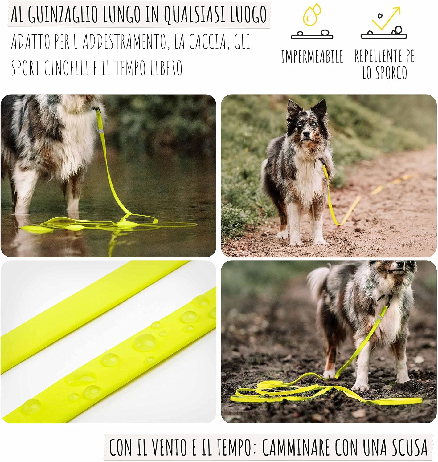 Detalle de Rudelkönig Guinzaglio addestramento per cani – Lunghina 5 metri, resistente e igienico