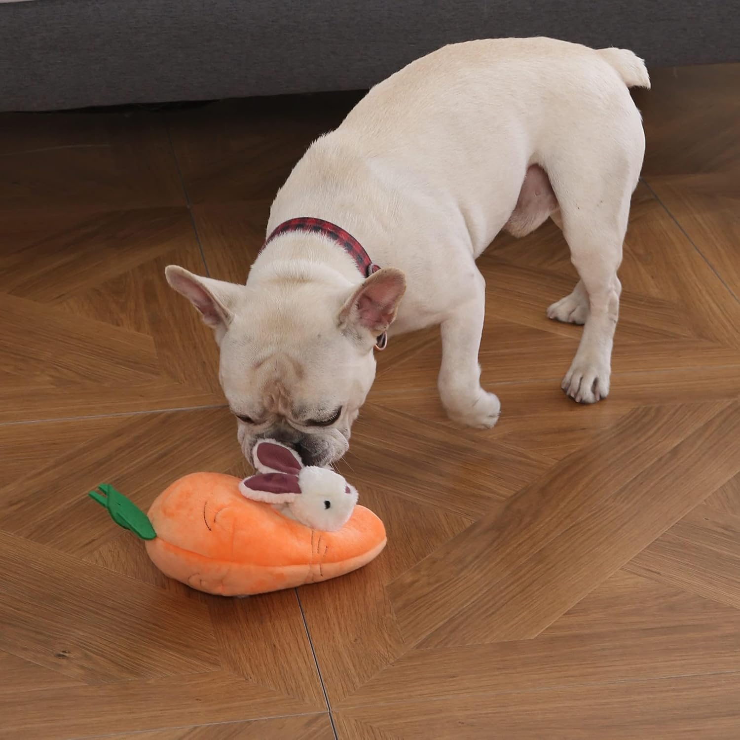 Detalle 2 de Amazon Basics Rabbit and Carrot Puppy/Dog Toys for Hide and Seek – 5 Plush Toys (Orange and White)