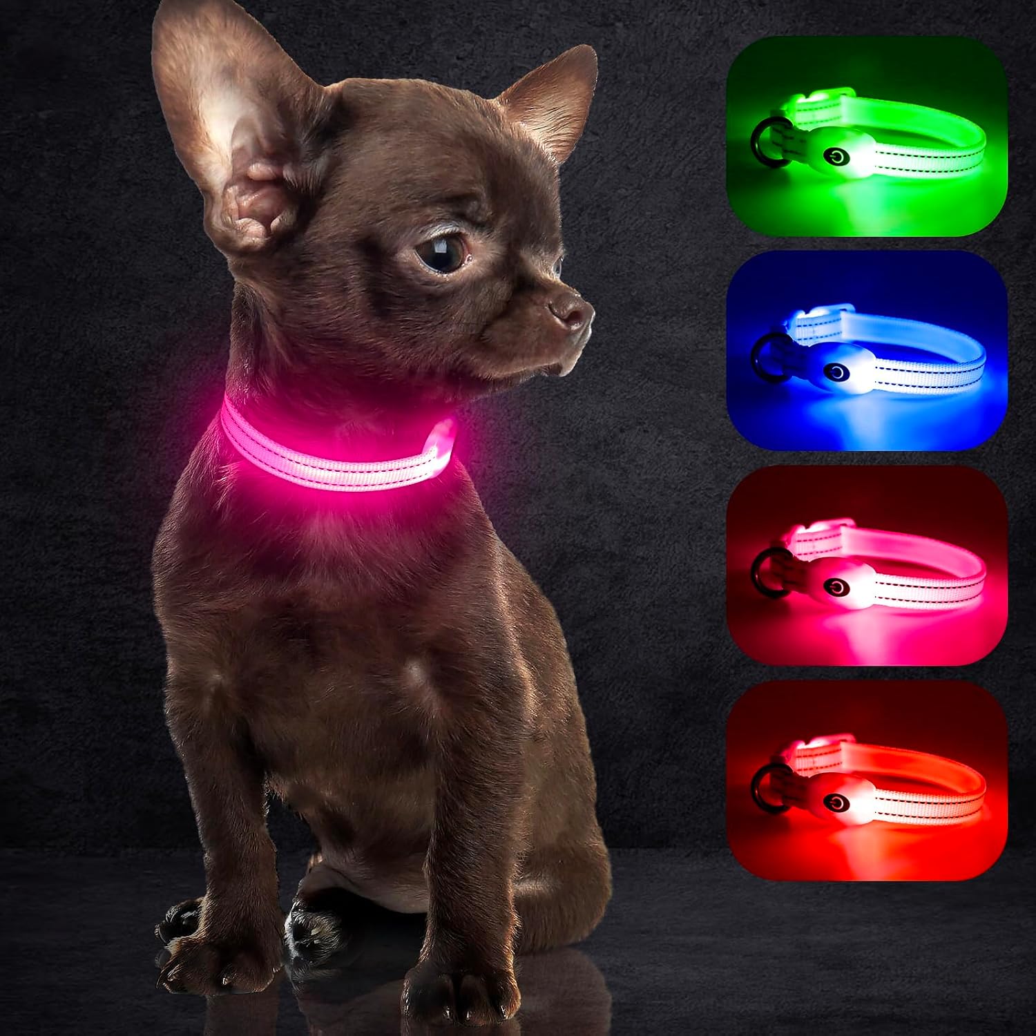 Detalle de YFbrite LED Cat Collar USB rechargeable 1 LED