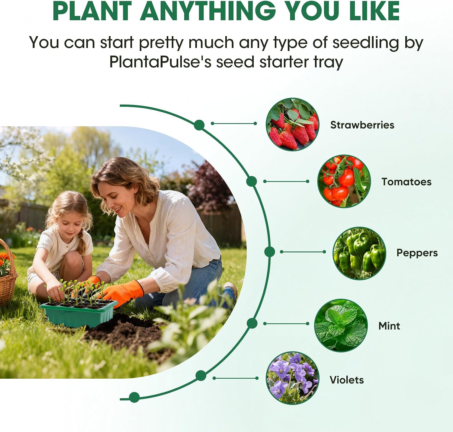 Detalle 1 de PlantaPulse PYH-01 Seed Starter Kit, 5-Pack 60-Cell Trays with Humidity Domes