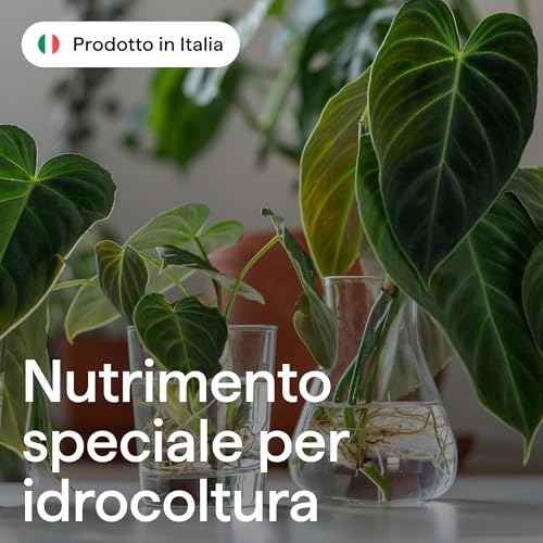 Detalle 2 de Illica Concime per Idrocoltura 100ml: nutrimento liquido per piante in acqua