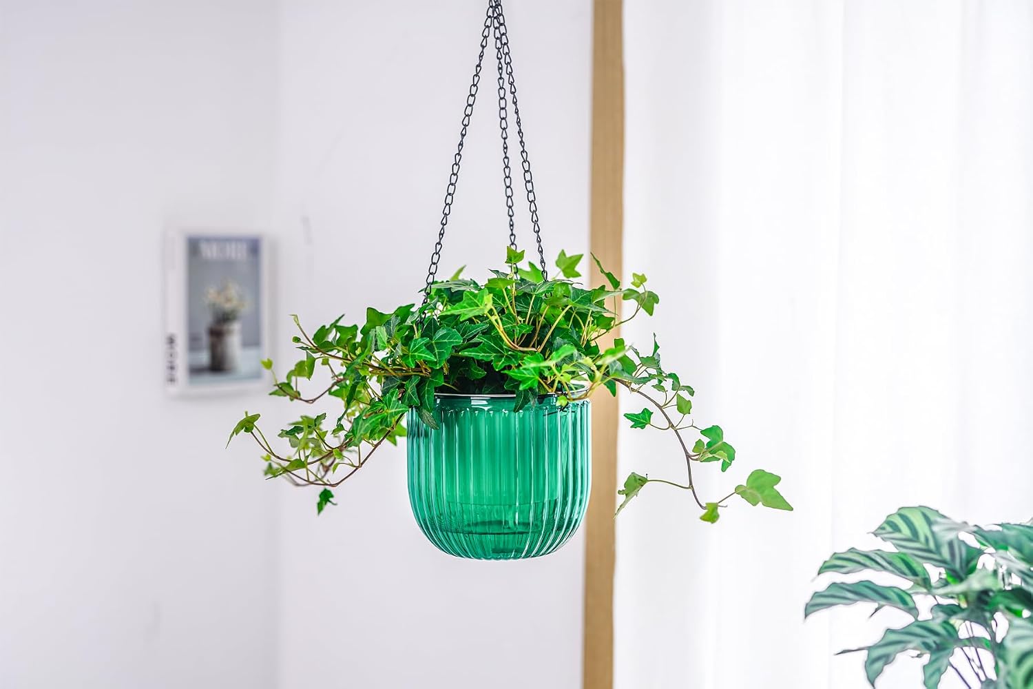 Thumbnail 6 de Melphoe hanging planters-6.5 Self-Watering Hanging Planters, 2-Pack, Emerald