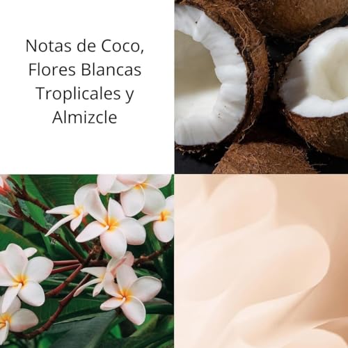 Thumbnail 6 de Elizabeth Arden - Green Tea Coconut Breeze, Eau de Toilette 🌴 Energizante Aroma a Coco 100 ml