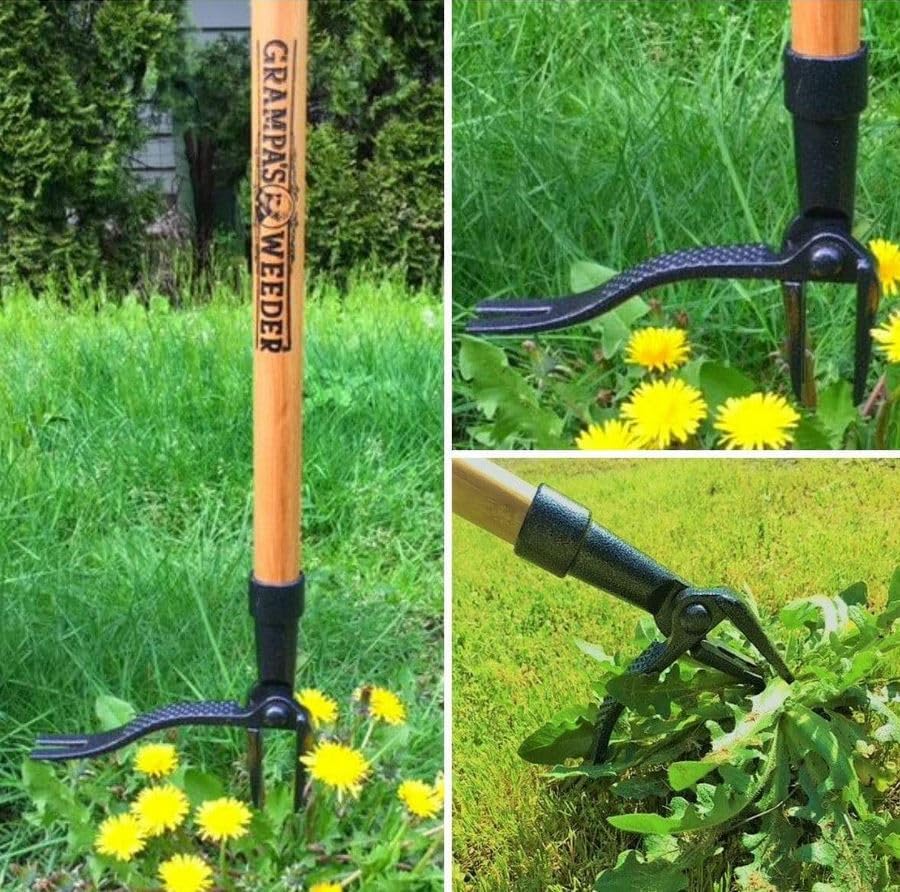 Thumbnail 6 de Grampa's Weeder Original Stand-Up Weed Puller with Bamboo Handle and 4-Claw Steel Head