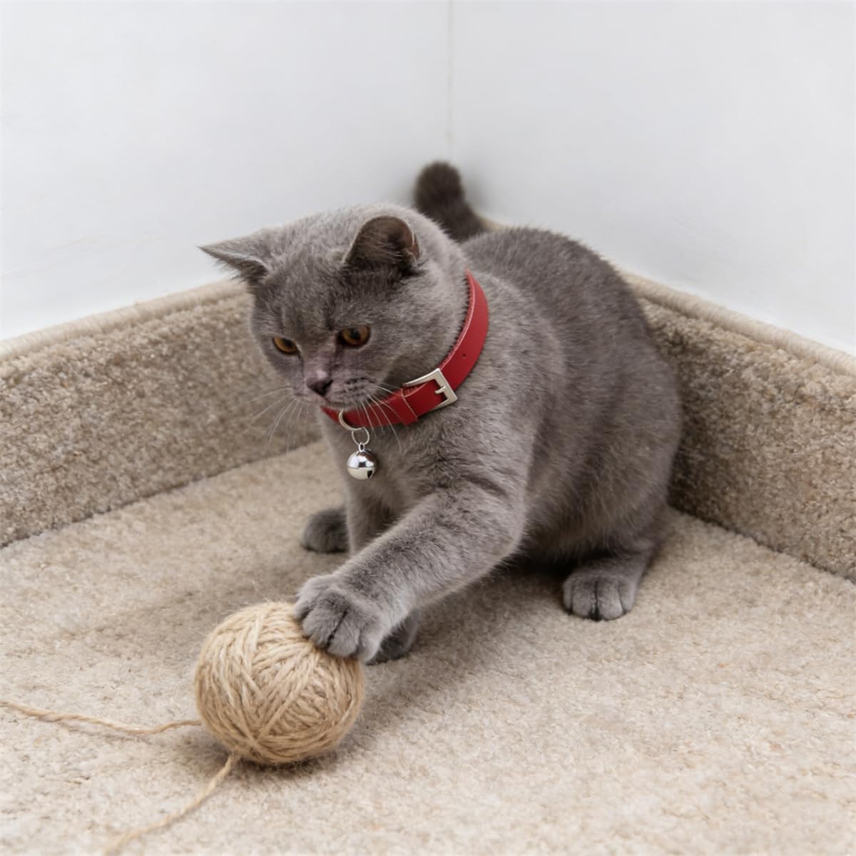Detalle de Cat Collar with Bell, XS