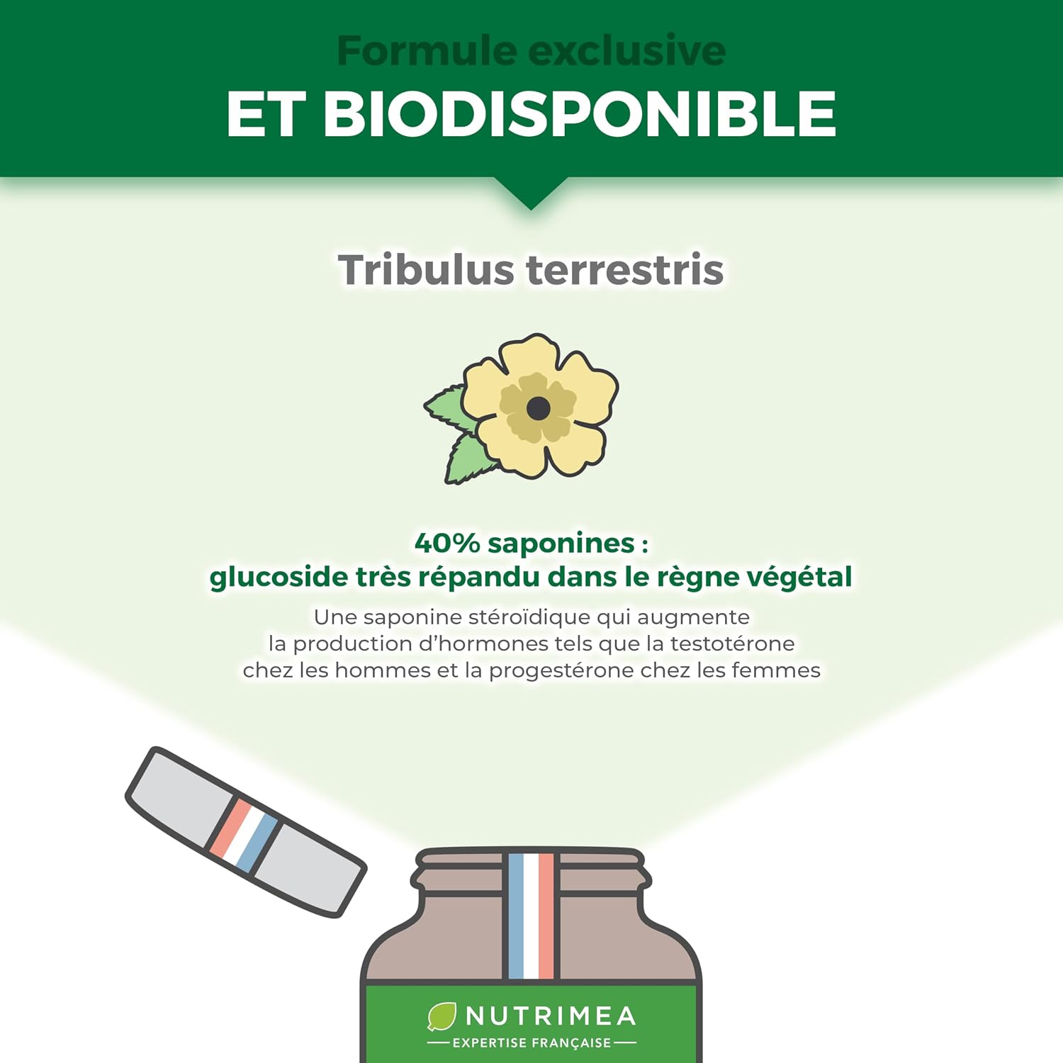 Thumbnail 3 de Nutrimea Tribulus Terrestris 9000 mg (extrait 10:1 titré en saponines) – 120 gélules vegan