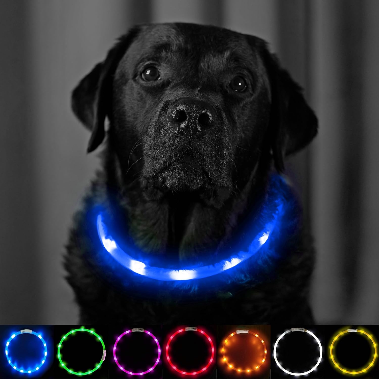 Thumbnail 5 de PetSol LED Dog Collar 3‑Mode USB Rechargeable