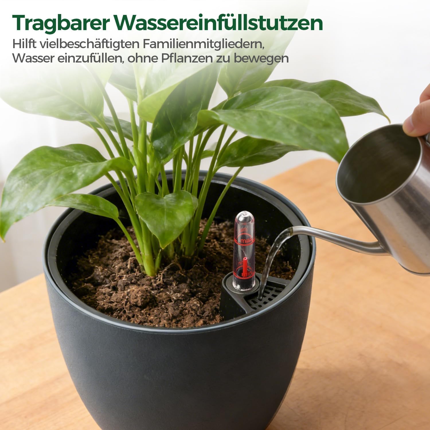 Detalle 2 de T4u T4U Bewässerungstopf 17,5 cm, 2er Set