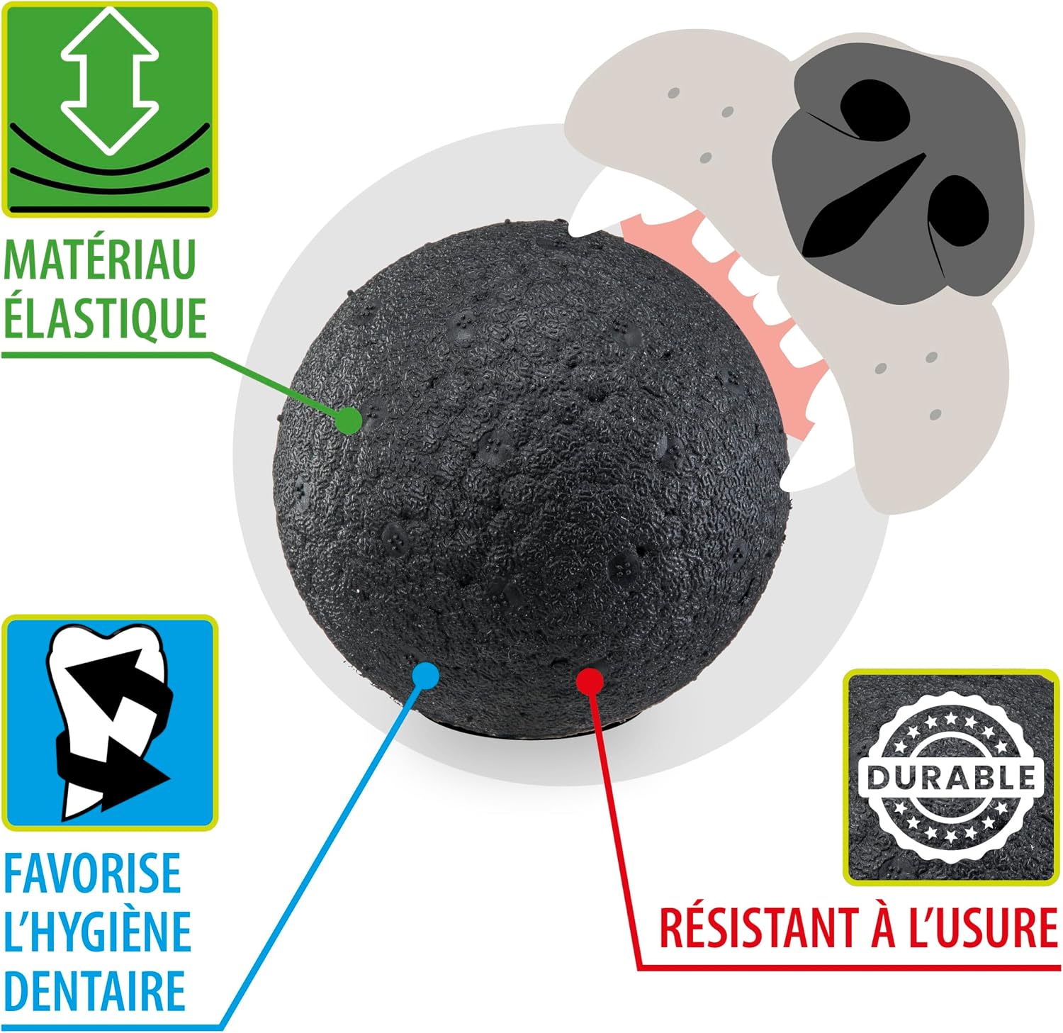Detalle de Ferplast CHEWA Boing Balle pour chien (8 cm) – balle rebondissante et flottante, matériau durable et non toxique