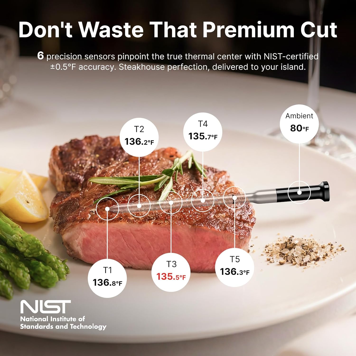 Detalle de Typhur Sync Gold Dual Wireless WiFi Meat Thermometer (2 Slim Probes, Smart Base) with Carrying Case
