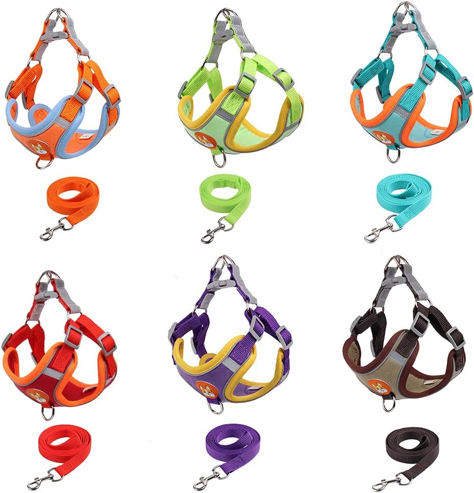 Detalle de MAJIAYU Dog Harness and Leash Set, Size M