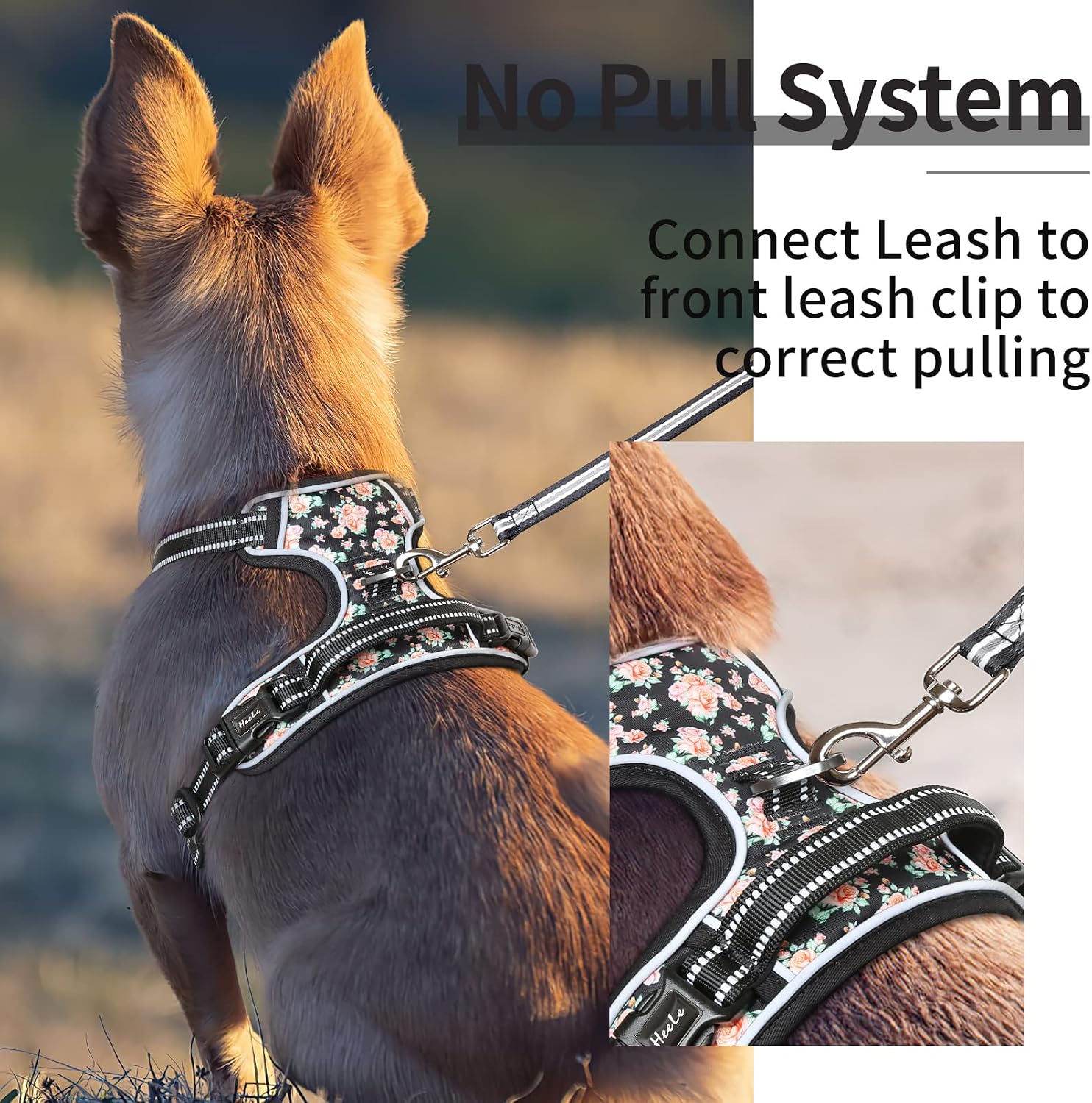 Detalle de HEELE dog harness, reflective, Size L