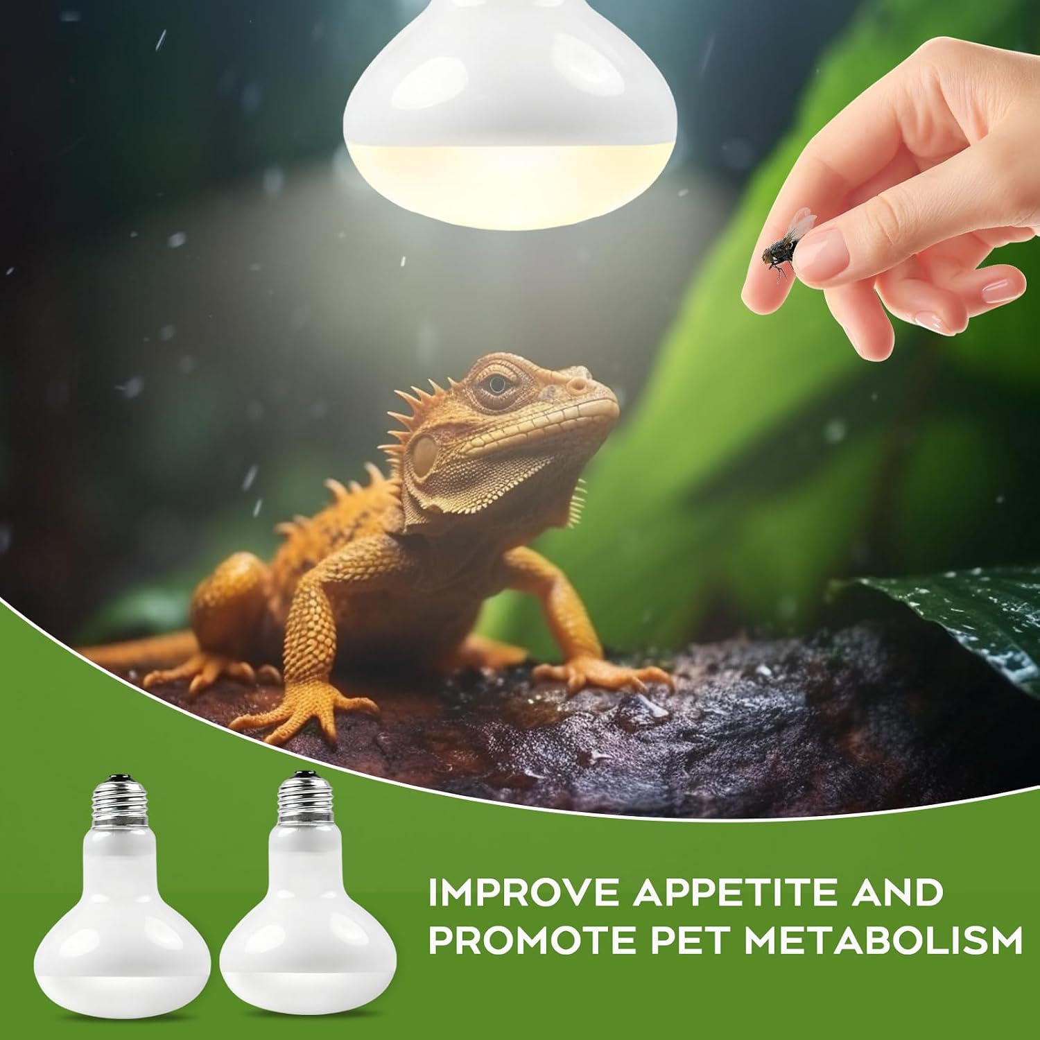Thumbnail 3 de Houbobo 2 Pack Reptile Heat Lamp Bulbs, 100W – E27 Base for Terrarium Basking