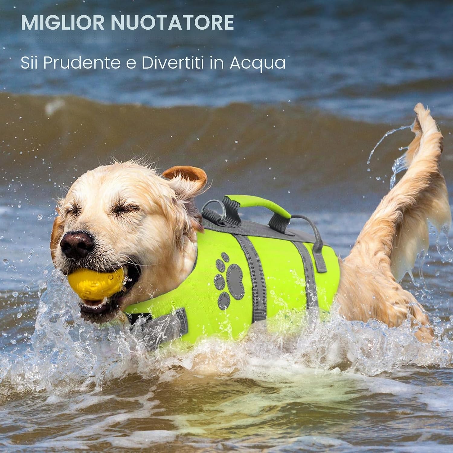 Detalle de Queenmore Salvagente Cane Taglia Piccola – Leggero, Regolabile e Riflettente