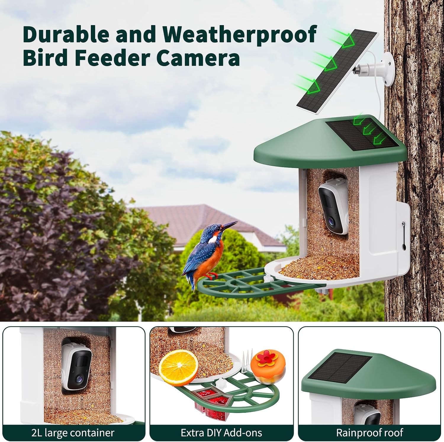 Detalle de HARYMOR Smart Bird Feeder Camera, 2L