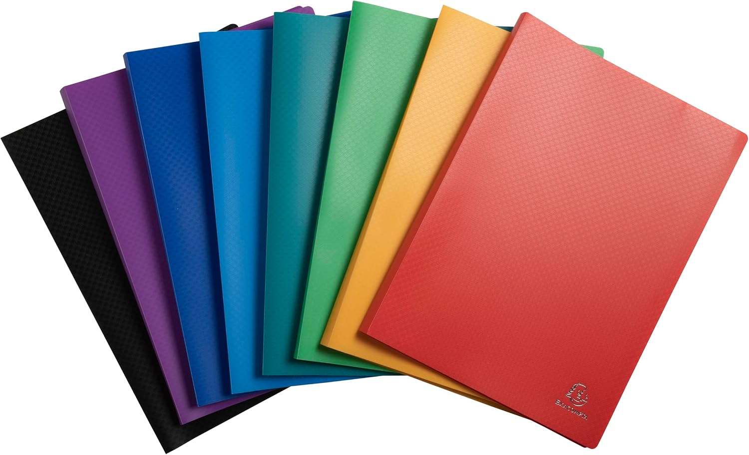 Detalle de Exacompta 8520E Protège-documents OPAK – 20 pochettes grainées, 40 vues, format A4 (24 x 32 cm)