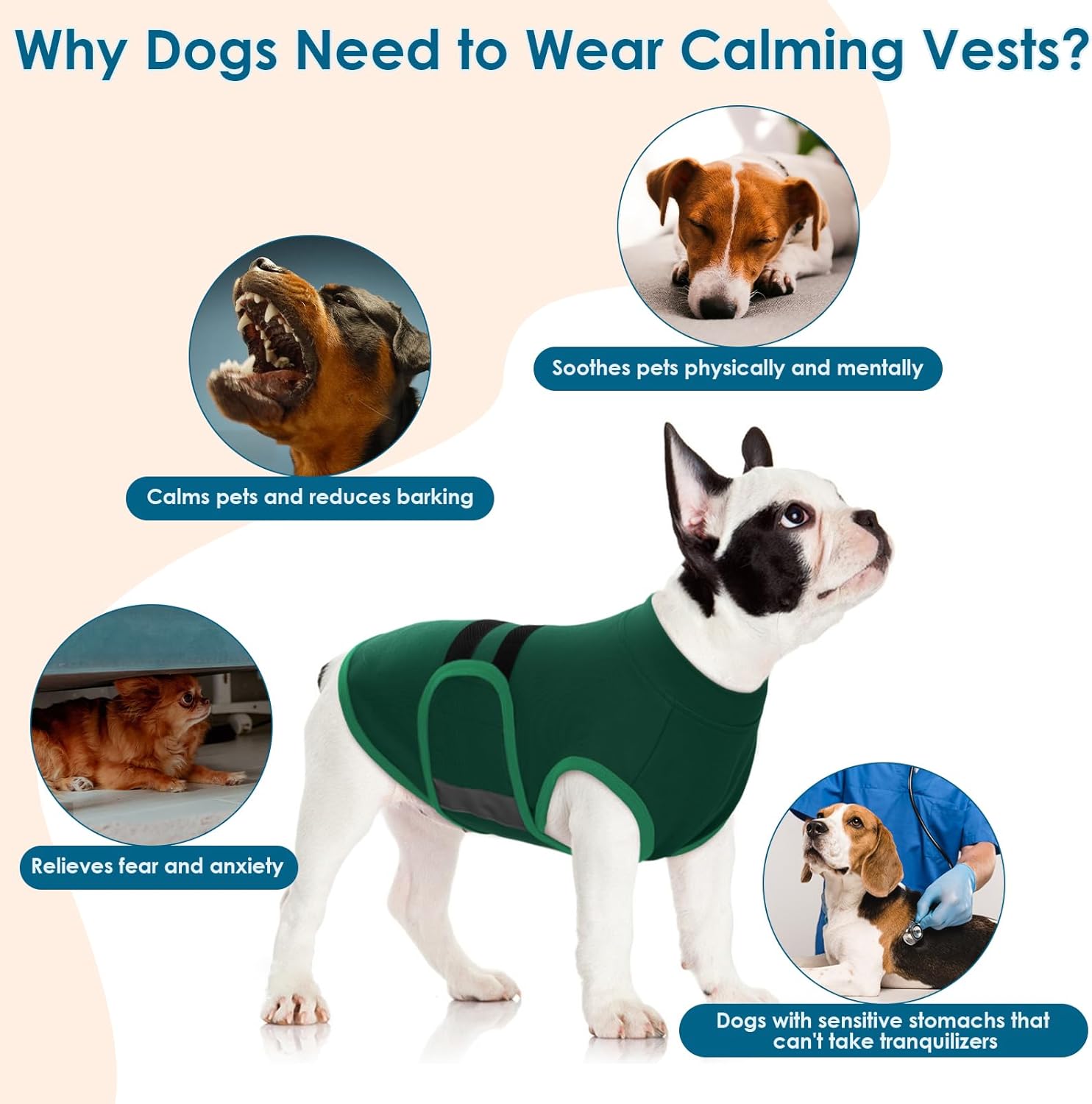 Detalle de Katzinst Dog Anxiety Vest: Lightweight Calming Coat for Small to Medium Dogs (Green)