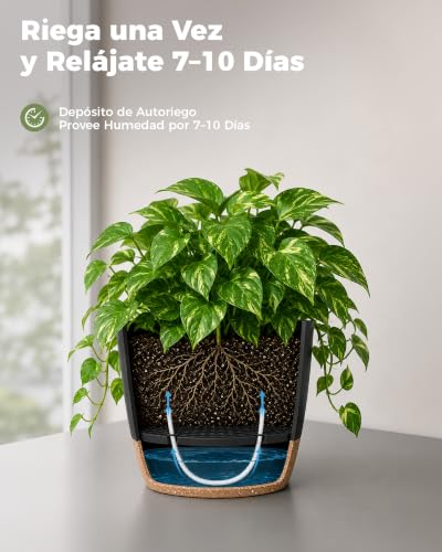 Detalle de Bamworld Macetas Autorriego de Interior (Pack 6, 13–20 cm) con Base Integrada
