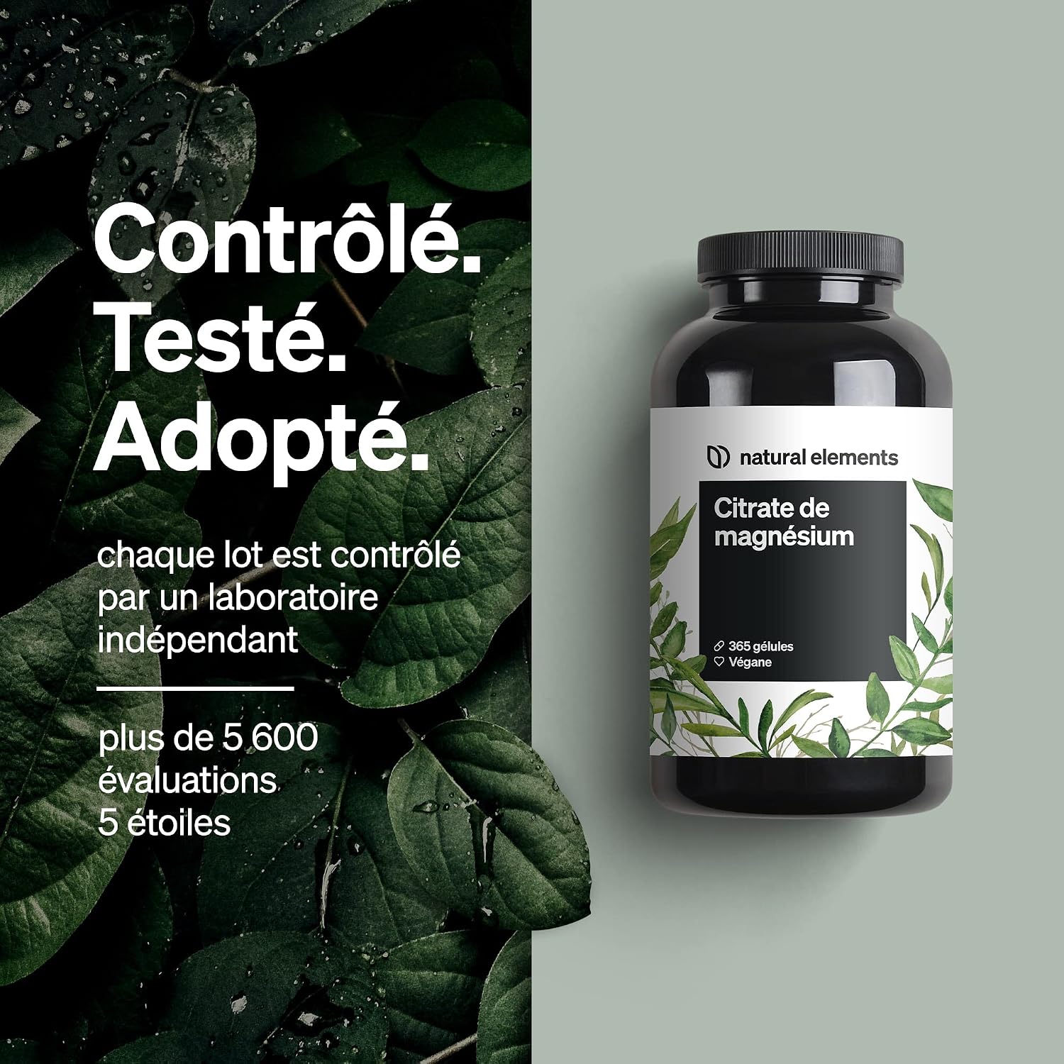 Detalle 2 de Citrate de Magnesium 2320 mg (360 mg de magnésium élémentaire) – 365 gélules pour muscles, os et système immunitaire