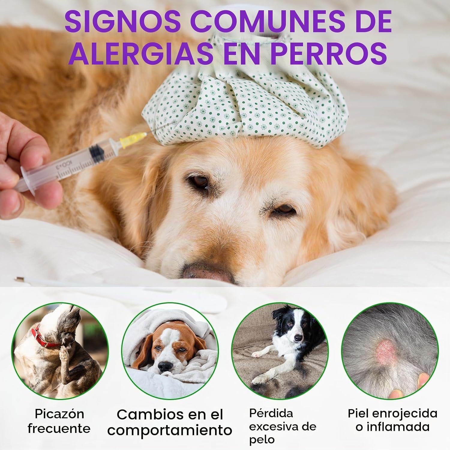Thumbnail 5 de Dog Allergy Relief Treats 150 unidades