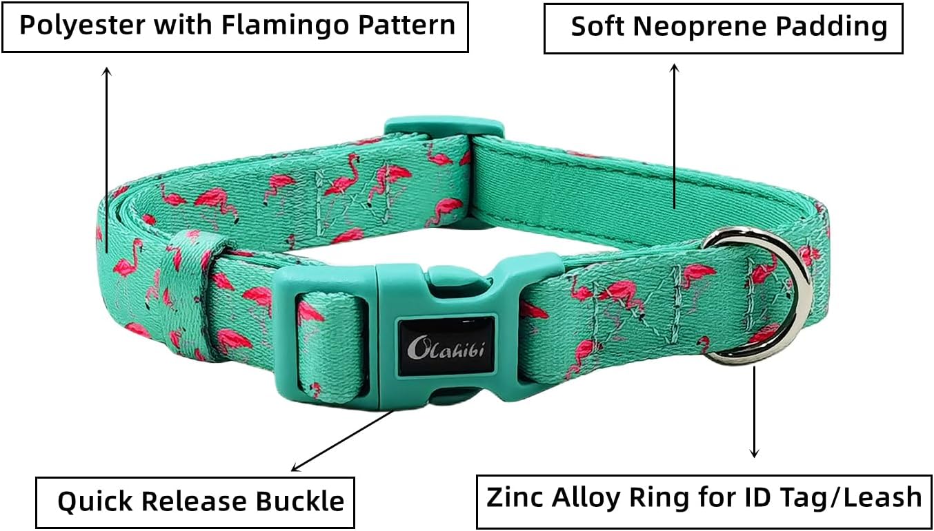 Detalle 2 de Olahibi Basic Dog Collar, 1.5 cm
