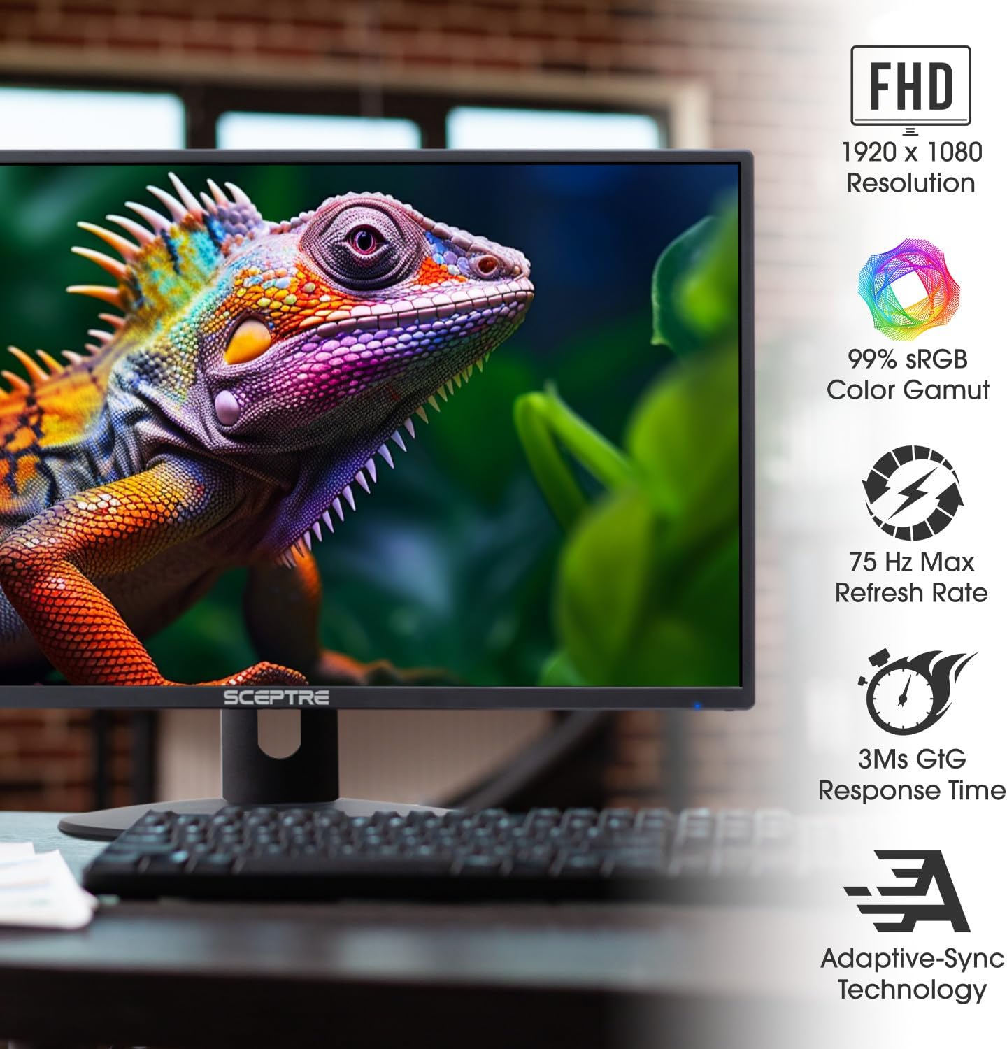 Thumbnail 2 de Sceptre 24-inch Prime Monitor 1080p LED