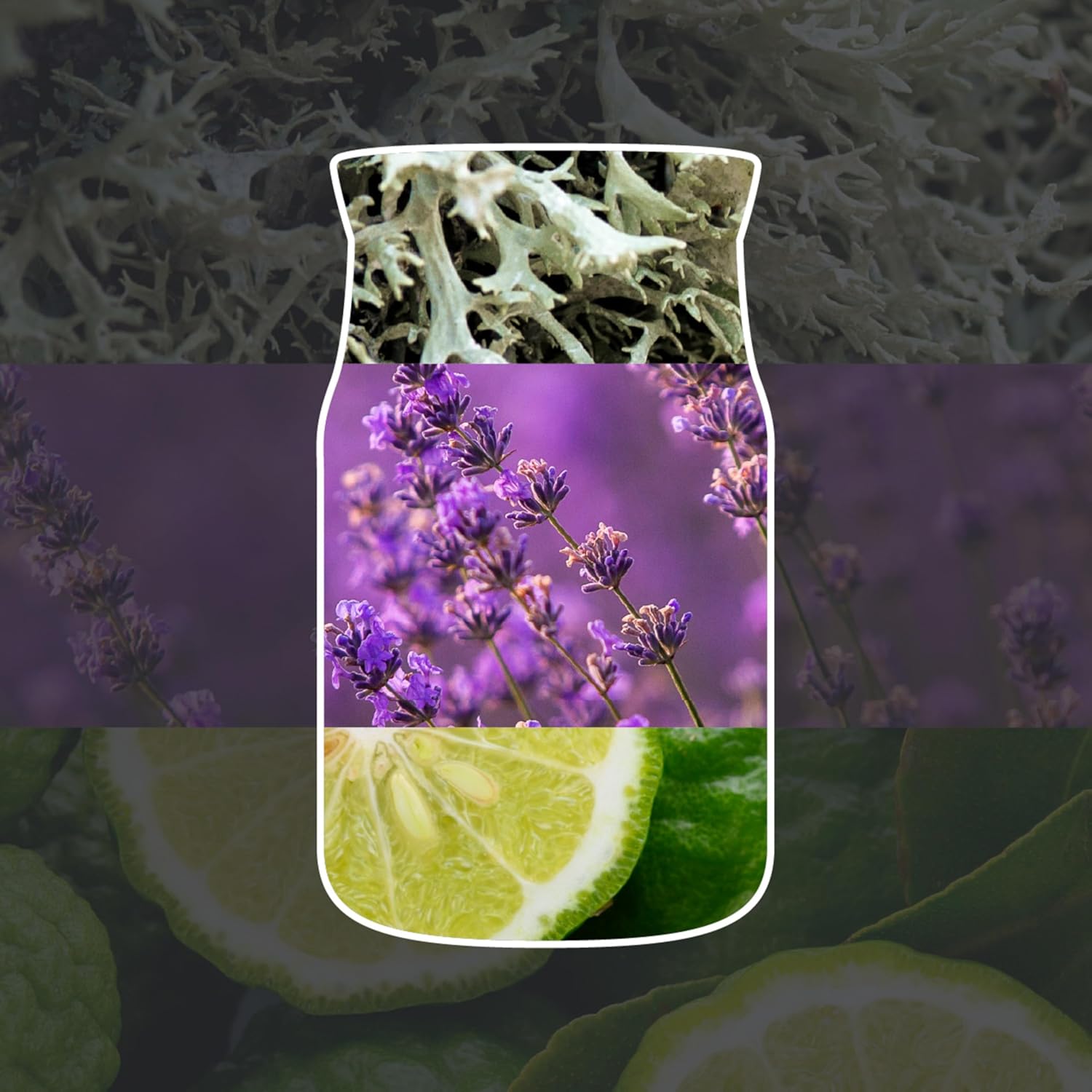 Detalle de Yankee Candle Diffuseur à bâtonnets Nuit de Midsummer — parfum durable pour petits à moyens espaces