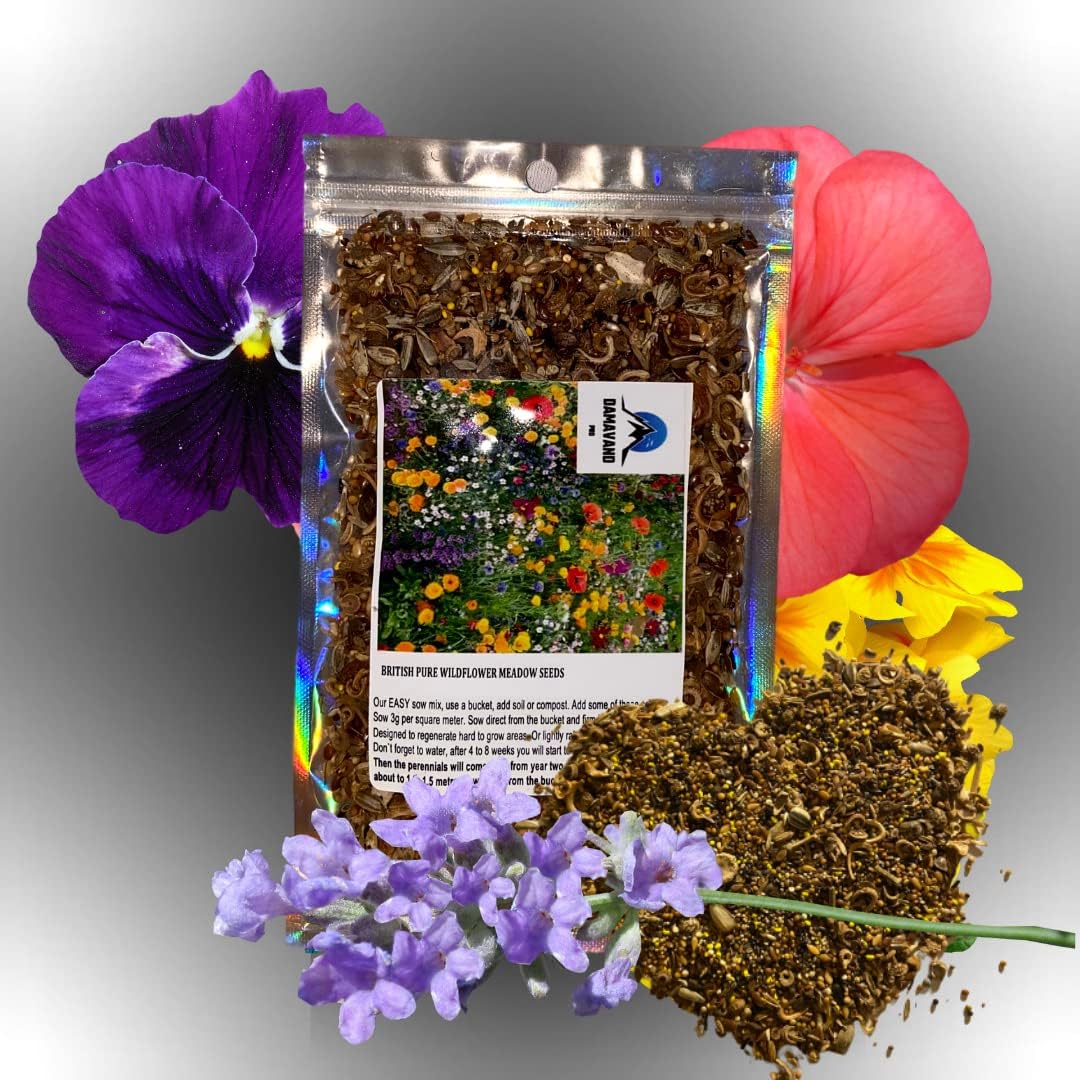 Thumbnail 2 de Wildflower Seeds More Than 21 Pure Seeds Scented NO Grass Bee Butterfly Mix for Meadow Gardens – UK Seed (200 m2)