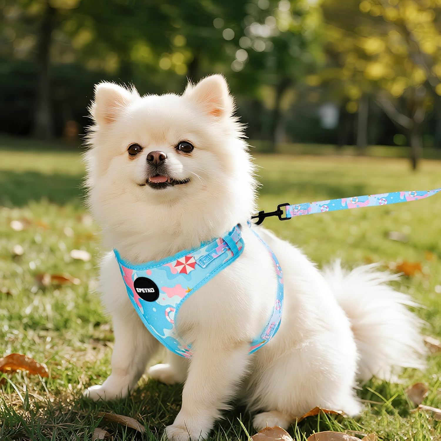Thumbnail 6 de Small Dog Harness and Leash Set of 6