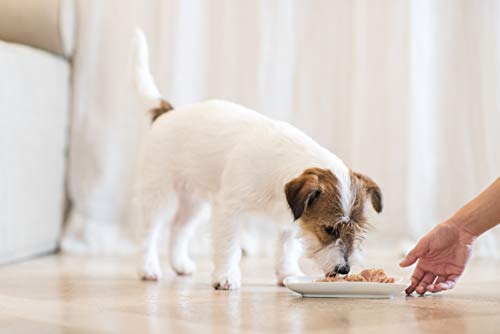 Detalle de Schesir Comida húmeda para perros 4,56 kg
