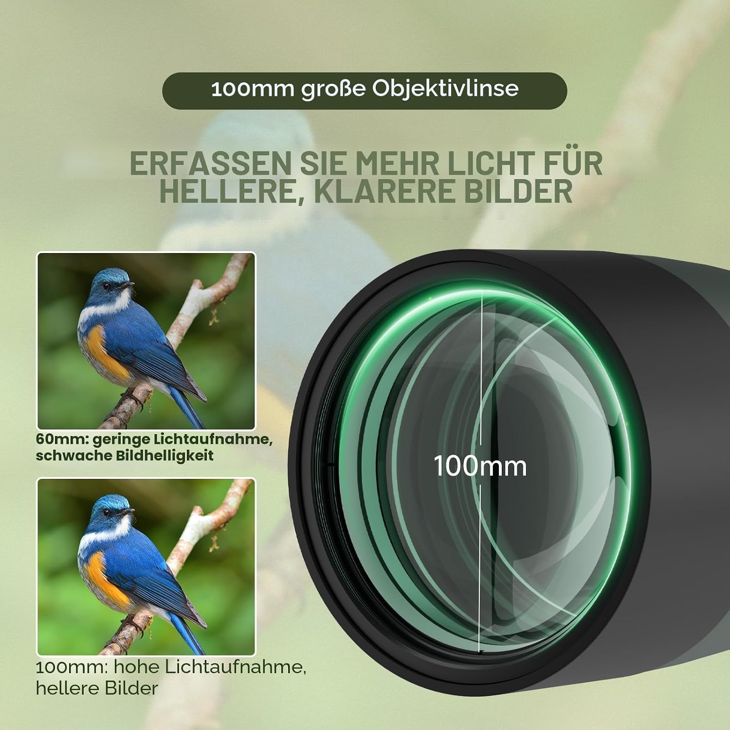 Detalle 2 de SV28 Spektiv 25-75x100 mm mit Zoom