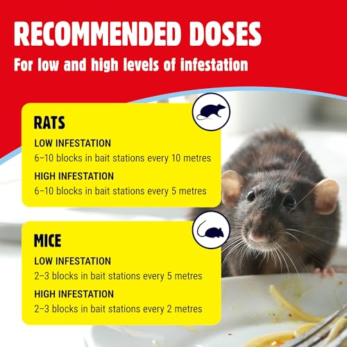 Detalle de The Big Cheese All-Weather Rodent Block – 30 x 10g (Blue)