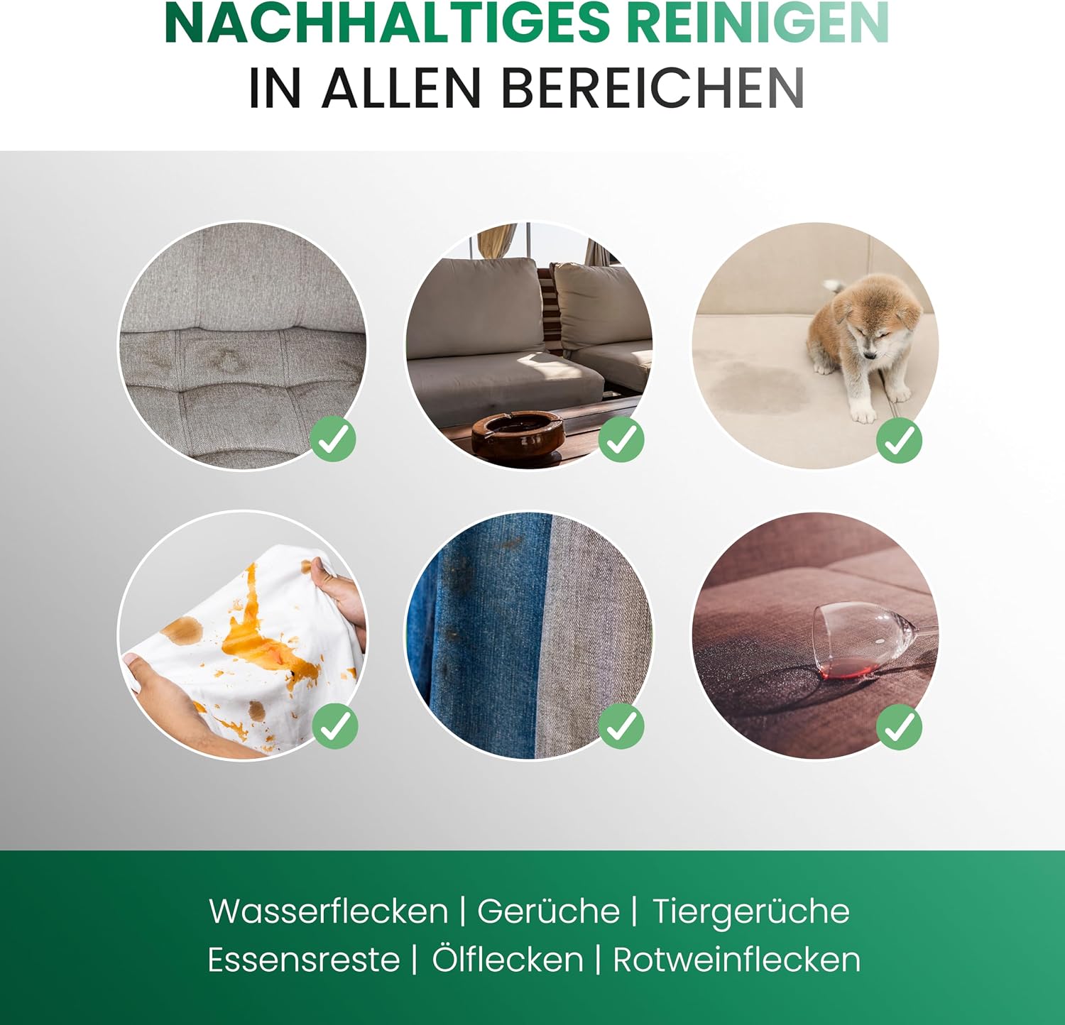 Detalle de BiOHY Premium Polsterreiniger 1 l