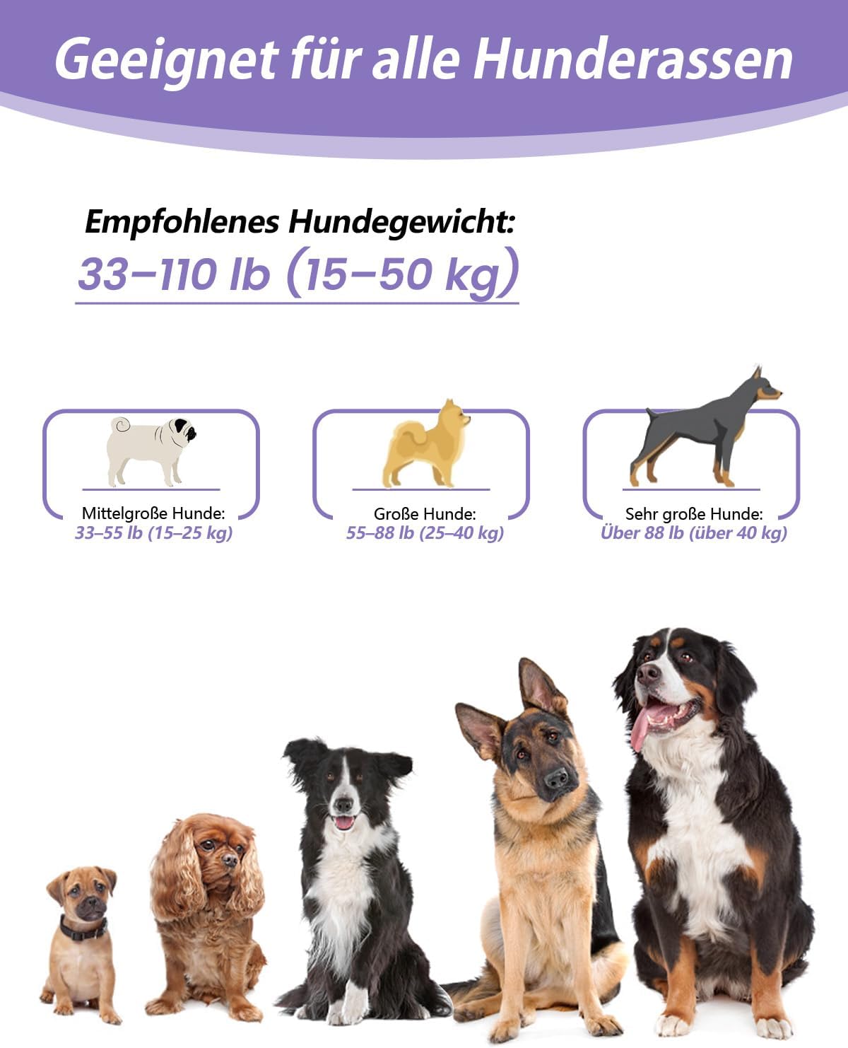 Detalle 2 de Hundeleine für Hüftführung 1,8–2,9 m