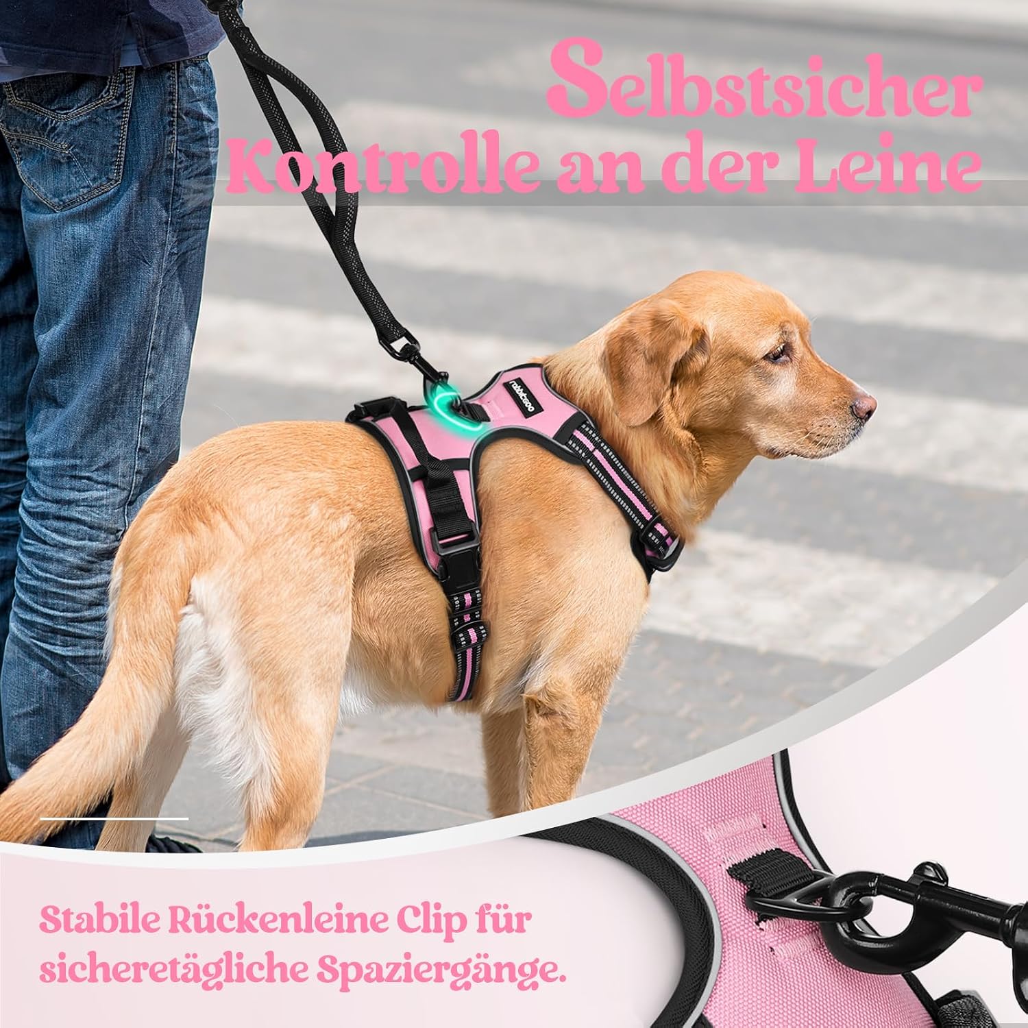 Thumbnail 6 de rabbitgoo Hundegeschirr (Größe XL) mit Anti-Zug & Anti-Würge, verstellbar, reflektierende Streifen – sicherere Führung bei Spaziergängen