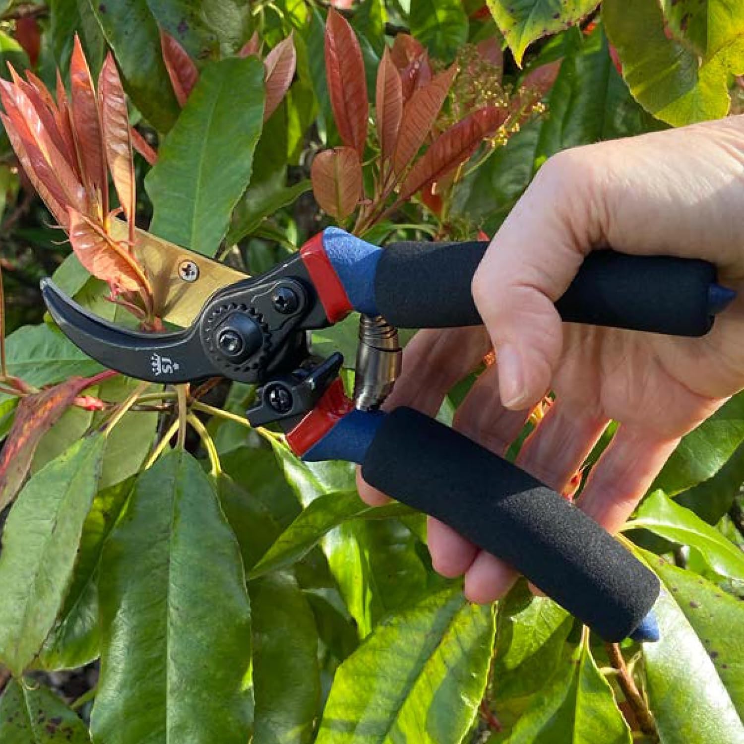 Detalle de Spear & Jackson 6658TITAN Razorsharp Titanium Garden Secateurs
