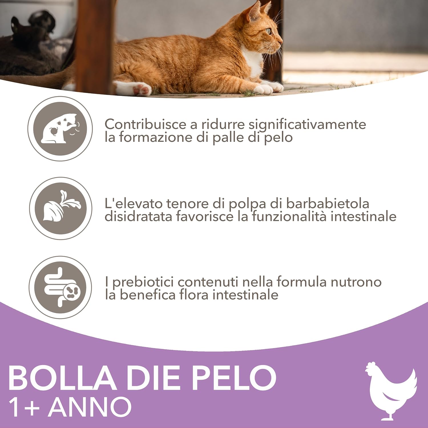 Detalle de IAMS Anti-Hairball: alimento secco per Gatti da 1 anno, 3 kg