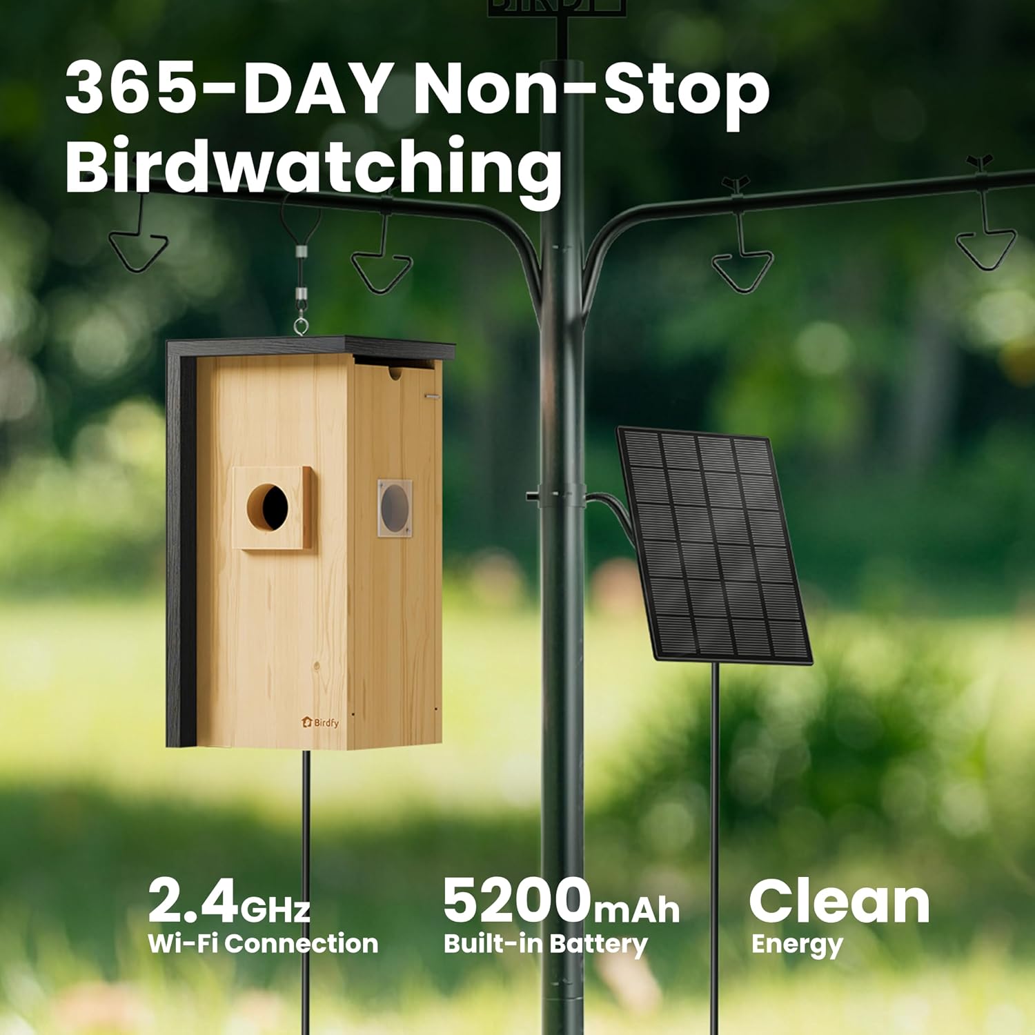 Thumbnail 4 de Birdfy Bird House with Camera: Solar Powered Outdoor Nest Cam for UK Birders