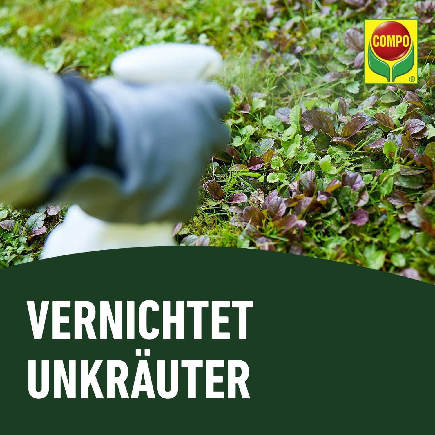 Detalle de COMPO Rasenunkraut-Vernichter Banvel Quattro – Konzentrat 400 ml (400 m²)