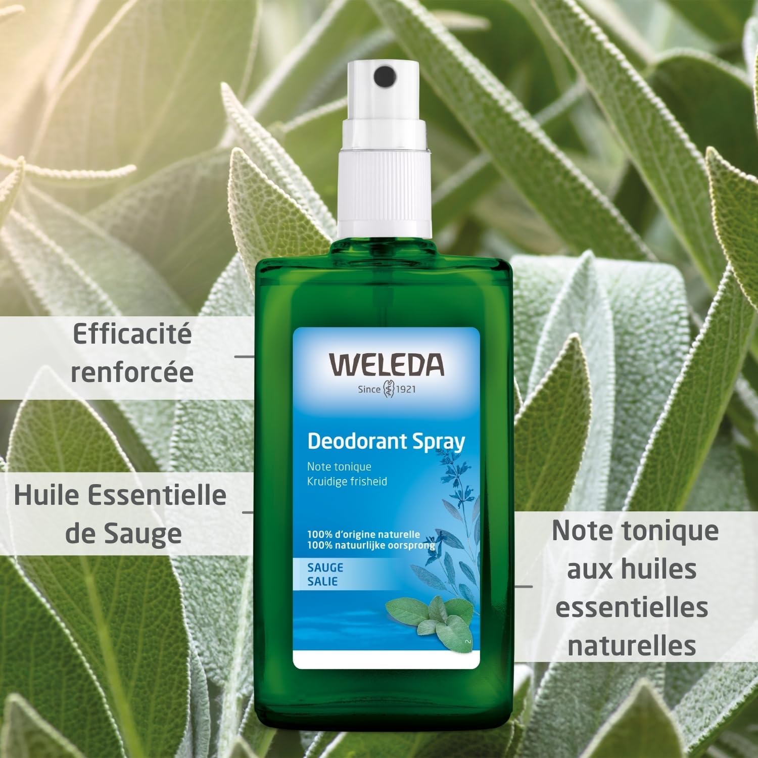 Detalle 2 de WELEDA Déodorant Sauge Éfficacité – Formule 100% d’origine naturelle, 100 ml