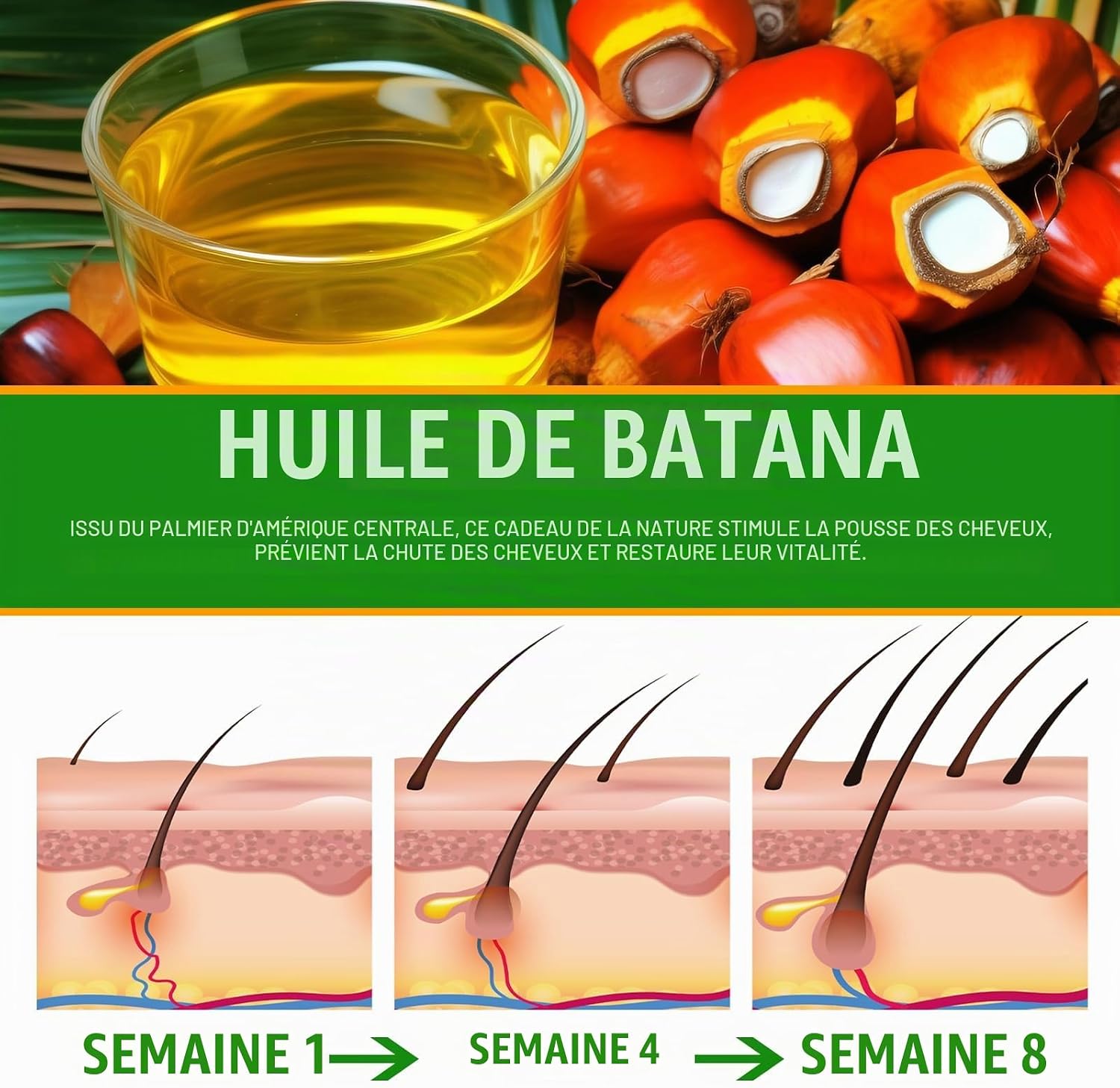 Detalle 2 de AIKUWWOIRQIA Batana-olie 60 ml voor haar, hoofdhuid en huid