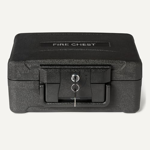 Detalle de Amazon Basics Caja Fuerte Ignífuga 6,2 L 🔐