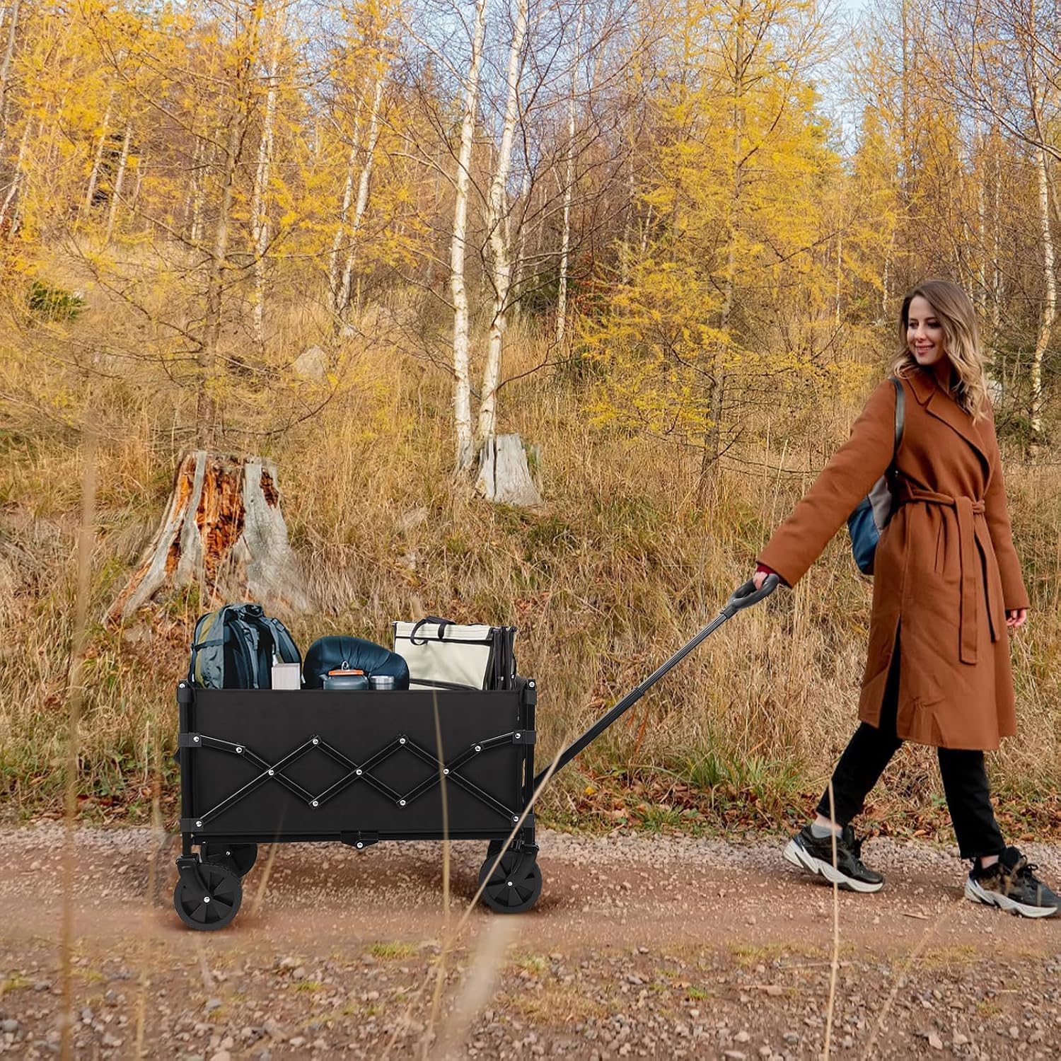 Thumbnail 6 de RYGEO Festival Trolley 68 kg foldable wagon