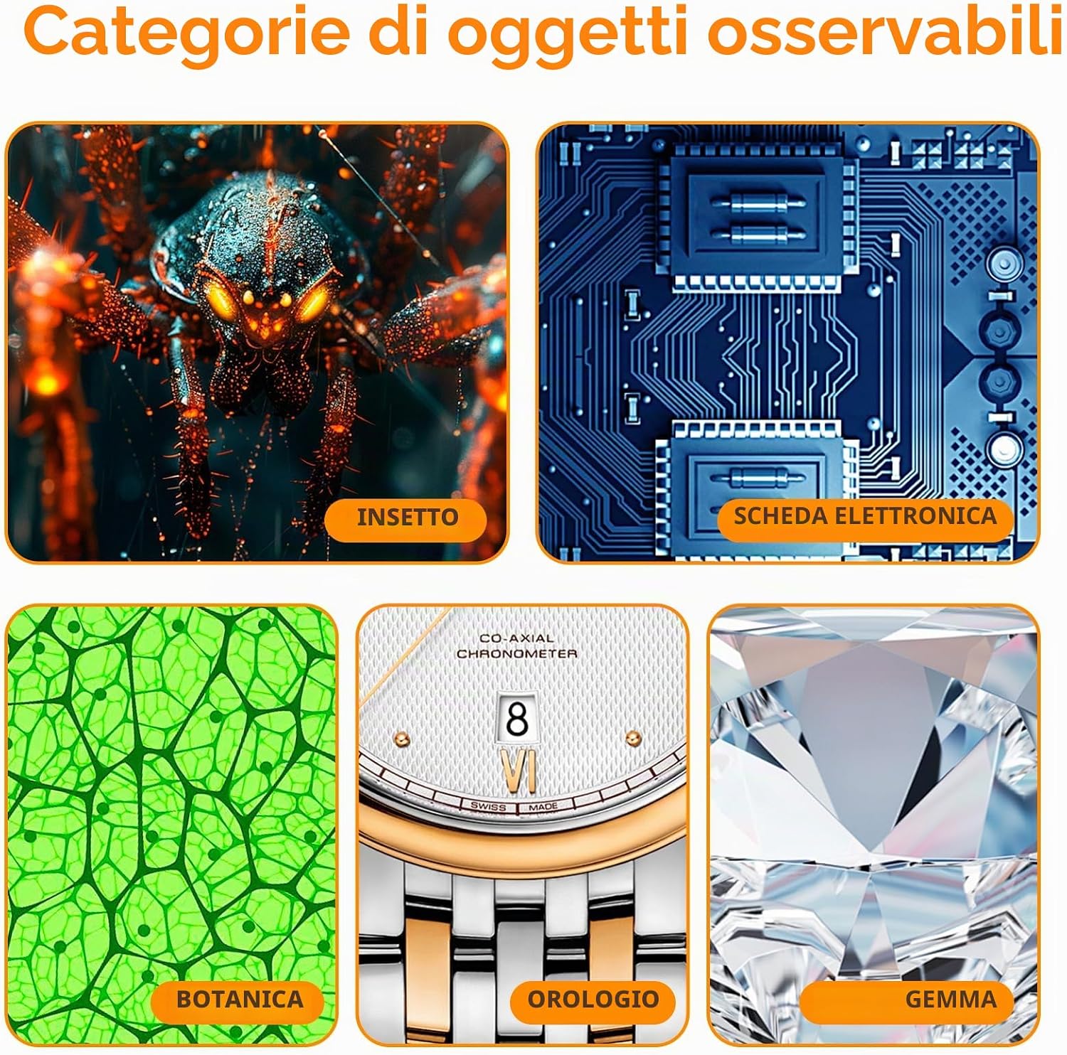 Thumbnail 6 de Misilmp Microscopi Digitali Portatili 4,3" 1080P